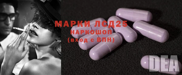 мяу мяу мука Иннополис