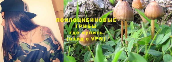 твердый Инта