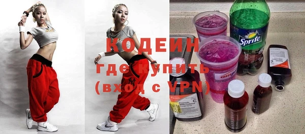 твердый Инта